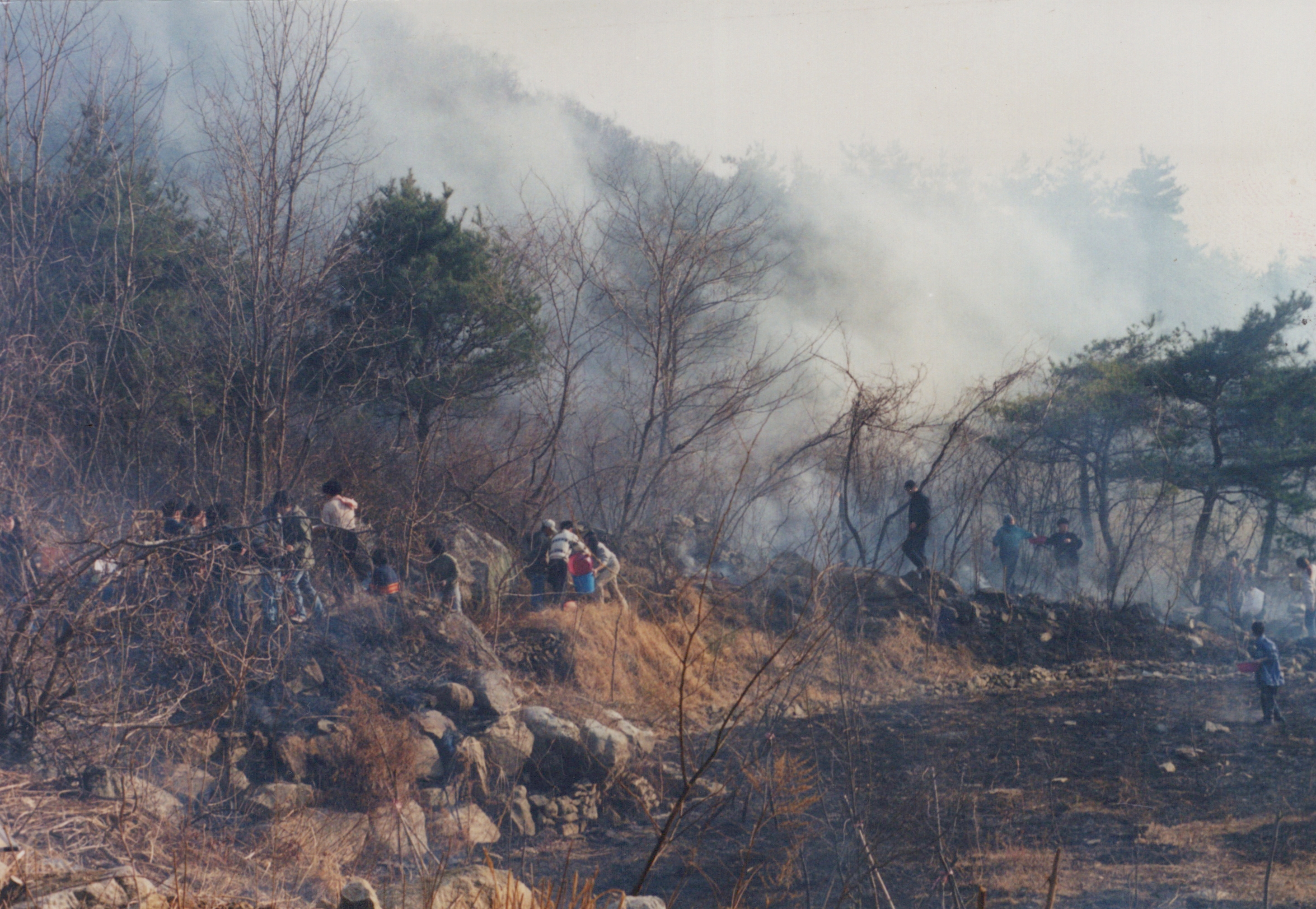 2000년 산불진화 사진 사진